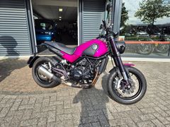 BENELLI LEONCINO 500