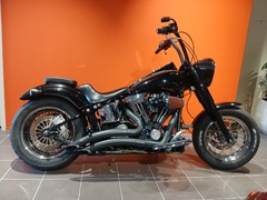 HARLEY-DAVIDSON SOFTAIL CUSTOM FXSTC