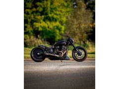 HARLEY-DAVIDSON SOFTAIL SPECIAL FXDRS 114