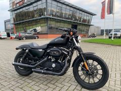 HARLEY-DAVIDSON SPORTSTER IRON XL 883 N