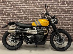 TRIUMPH SCRAMBLER 900