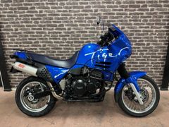 TRIUMPH TIGER 900