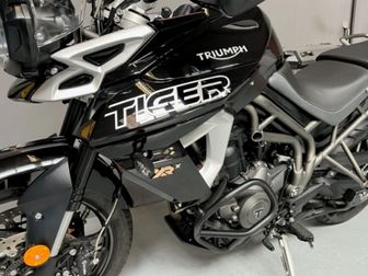 2019 triumph sales tiger