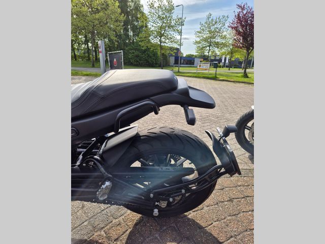 benelli - leoncino-500
