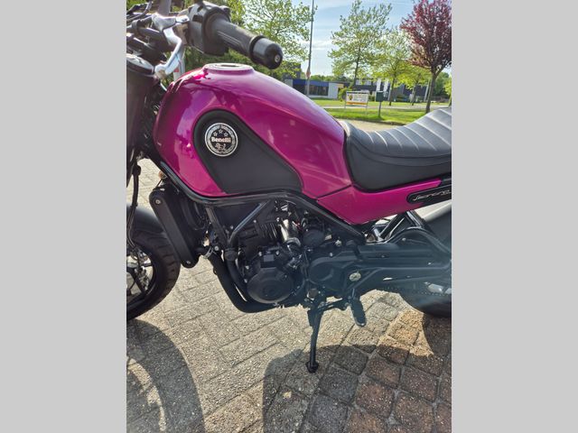 benelli - leoncino-500