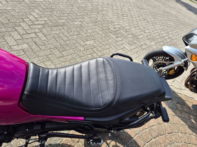benelli - leoncino-500