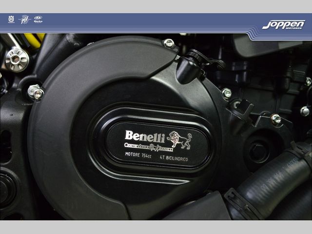 benelli - leoncino-800