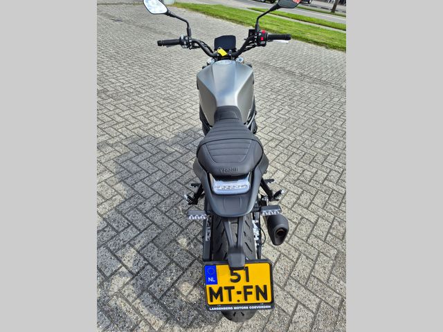 benelli - leoncino-800