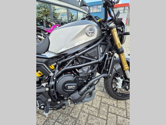 benelli - leoncino-800