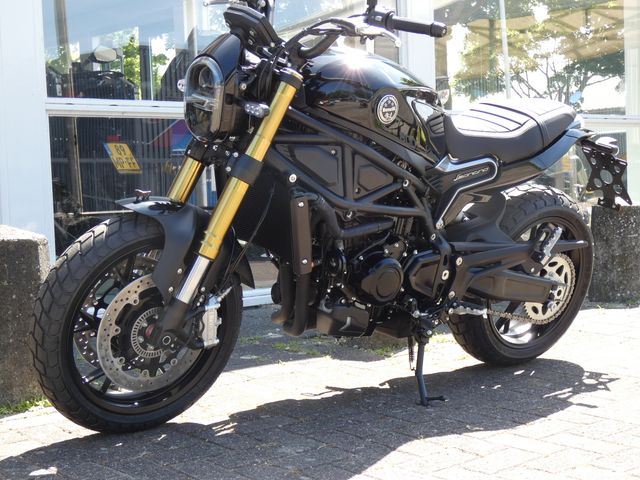 benelli - leoncino-800