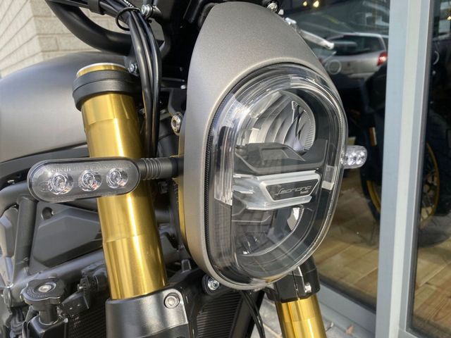 benelli - leoncino-800