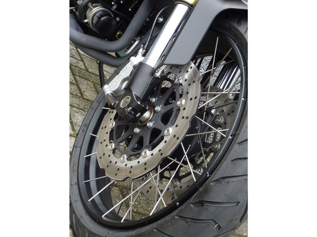 benelli - leoncino-800-trail