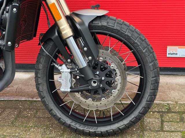 benelli - leoncino-800-trail