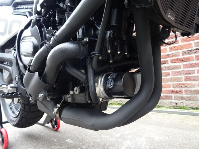 benelli - leoncino-800-trail