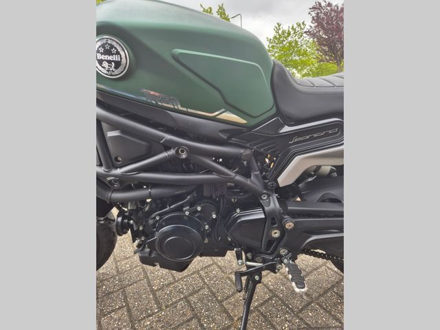 benelli - leoncino-800-trail