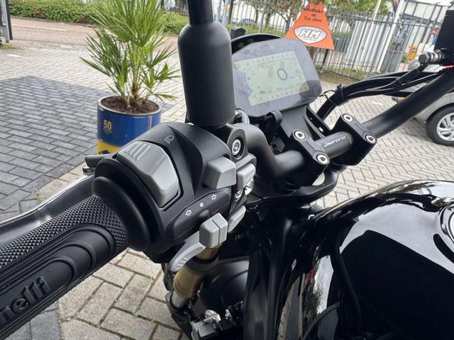 benelli - leoncino-800-trail