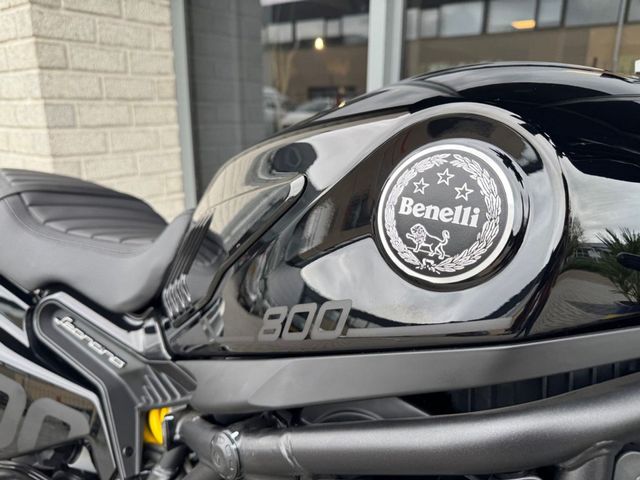 benelli - leoncino-800-trail