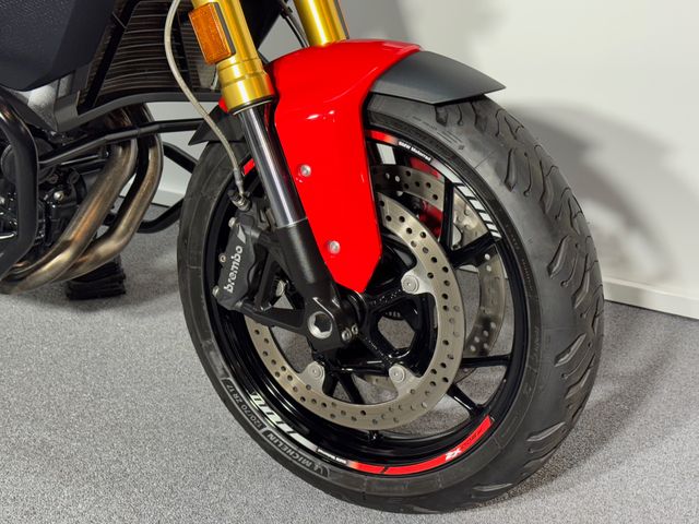 bmw - f-900-xr