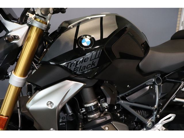 bmw - r-1250-r