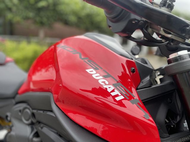 ducati - monster--