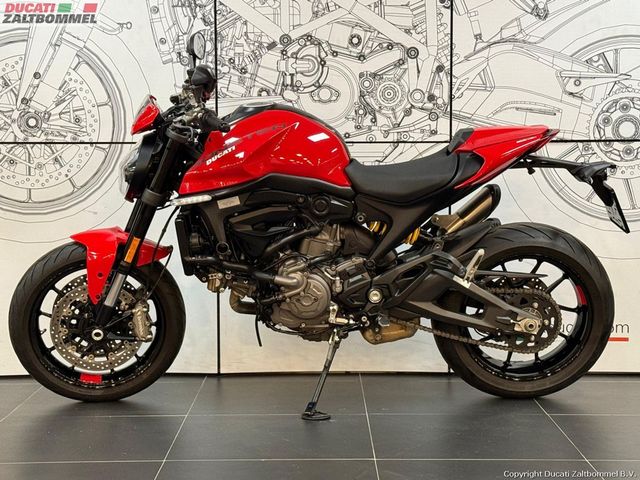 ducati - monster--