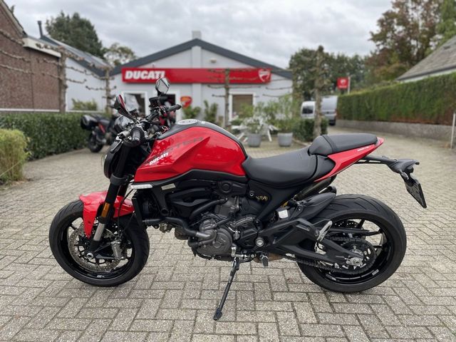 ducati - monster