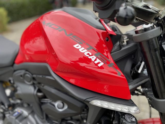 ducati - monster