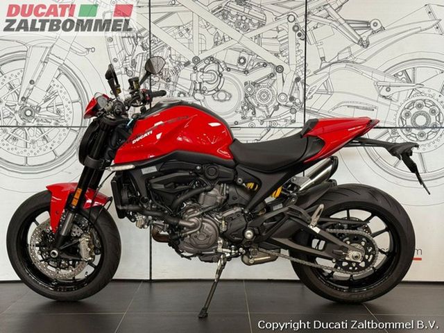 ducati - monster