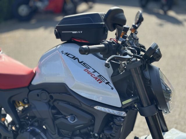 ducati - monster