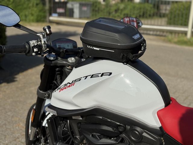 ducati - monster