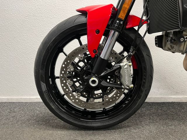 ducati - monster