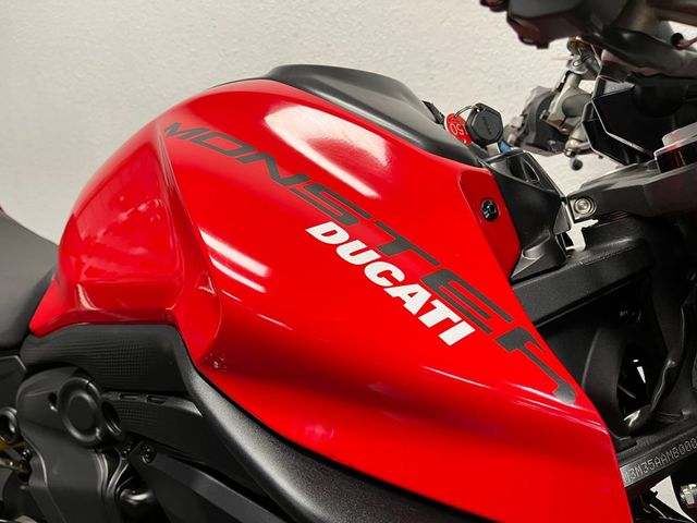 ducati - monster