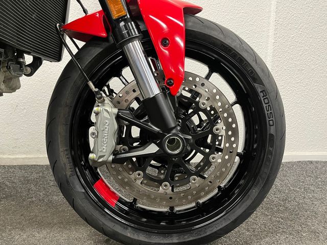 ducati - monster