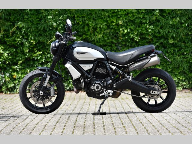 ducati - scrambler-1100-dark-pro