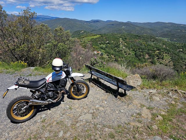 ducati - scrambler-desert-sled