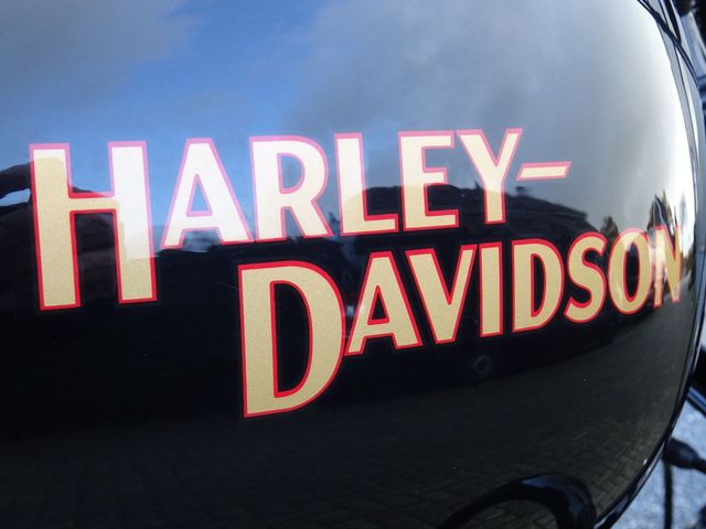harley-davidson - cross-bones-flstsb