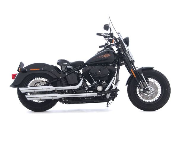 harley-davidson - cross-bones-flstsb