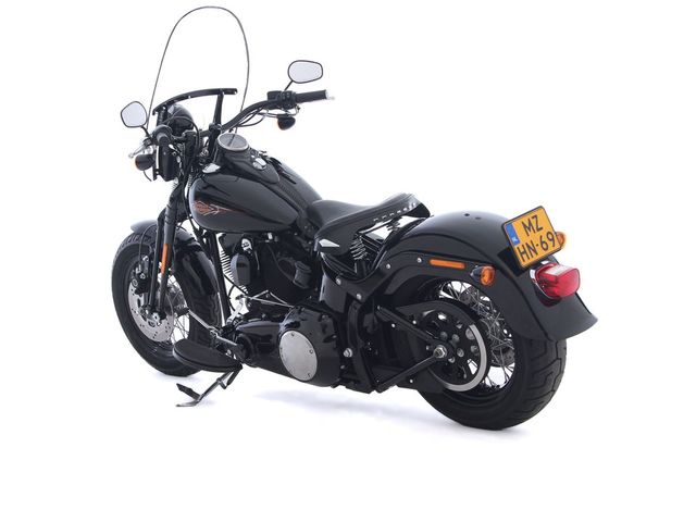 harley-davidson - cross-bones-flstsb