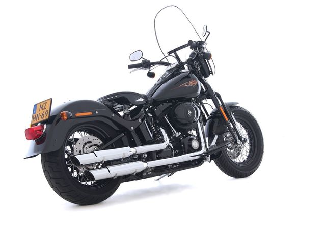 harley-davidson - cross-bones-flstsb