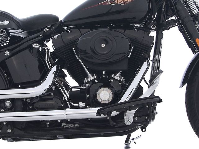 harley-davidson - cross-bones-flstsb