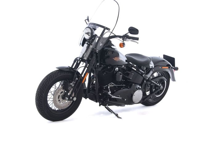 harley-davidson - cross-bones-flstsb