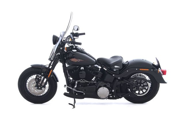 harley-davidson - cross-bones-flstsb