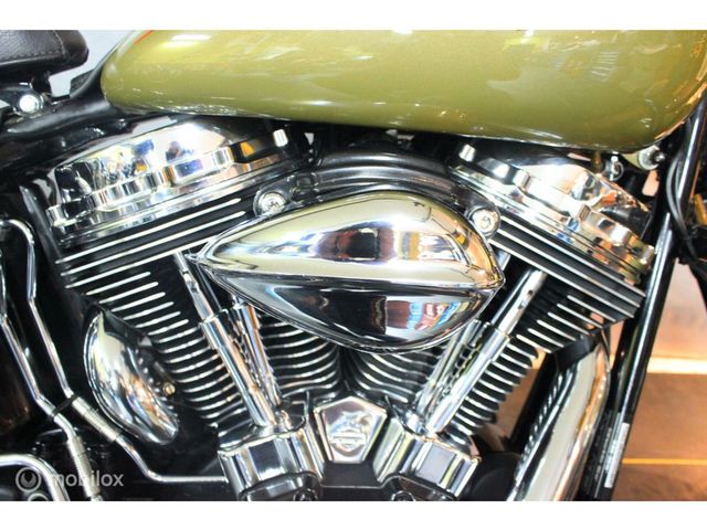 harley-davidson - cross-bones-flstsb