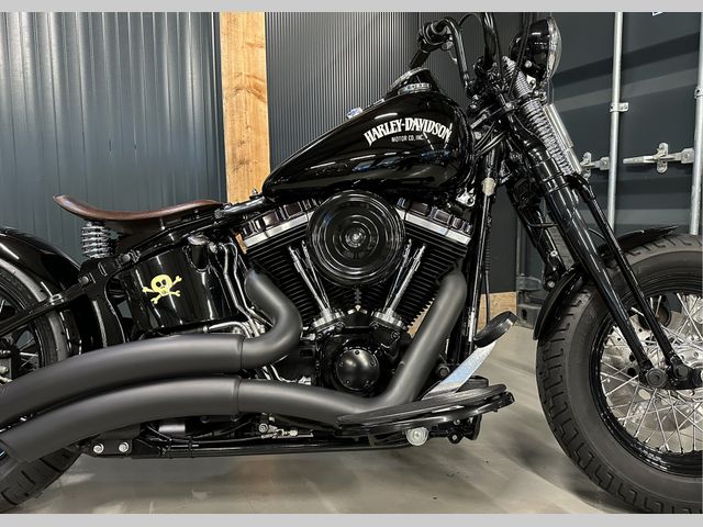 harley-davidson - cross-bones-flstsb