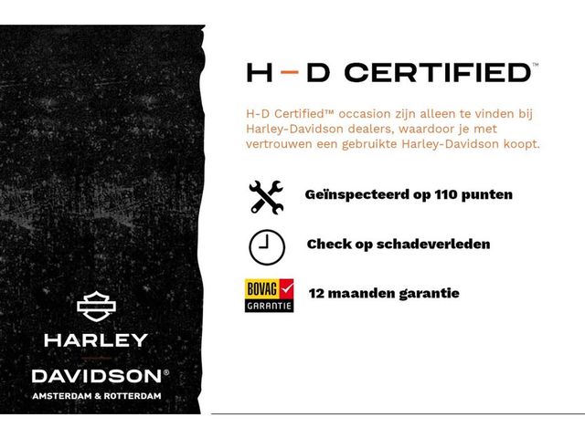 harley-davidson - electra-glide-standard-flht