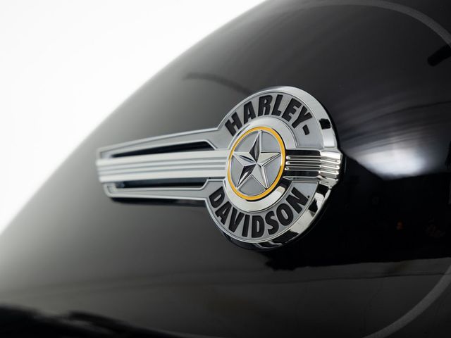 harley-davidson - fat-boy-114-flfbs-softail