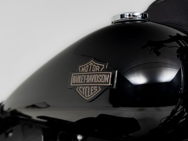 harley-davidson - low-rider-s-fxdls