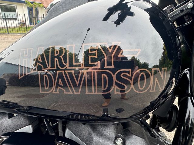 harley-davidson - low-rider-s-fxlrs-114