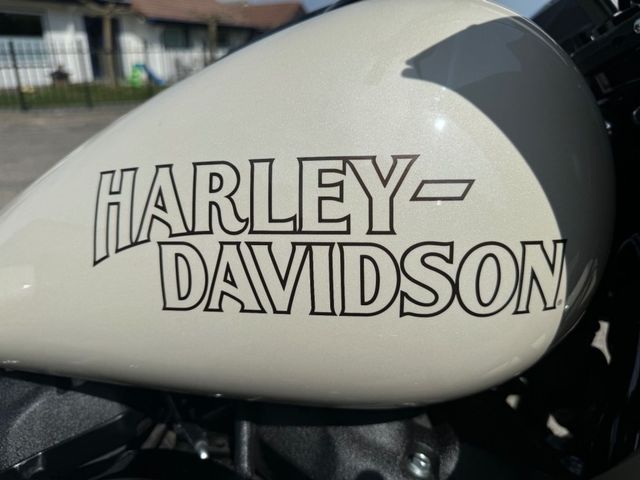 harley-davidson - low-rider-st