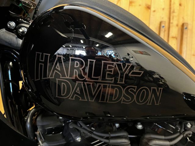 harley-davidson - low-rider-st-fxlrst